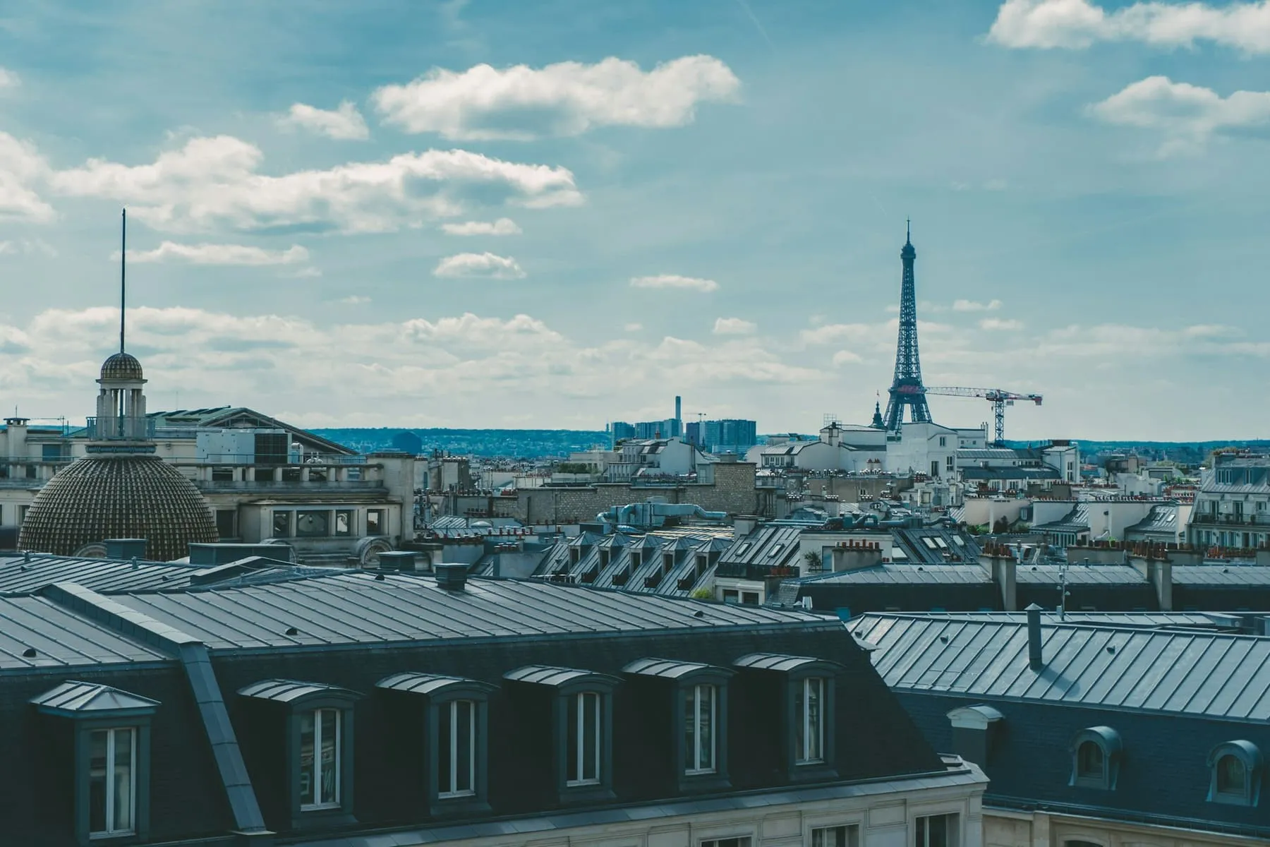 Toits en zinc et lucarnes d’immeubles parisiens, la tour Eiffel à l’horizon